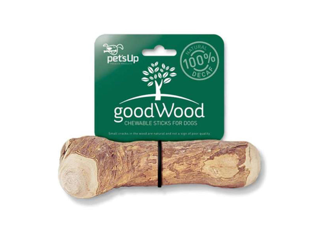 GoodWood Coffee Tree Small