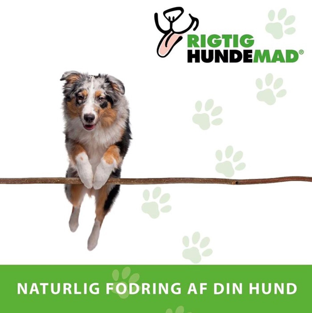 RIGTIGHUNDEMAD ApS logo